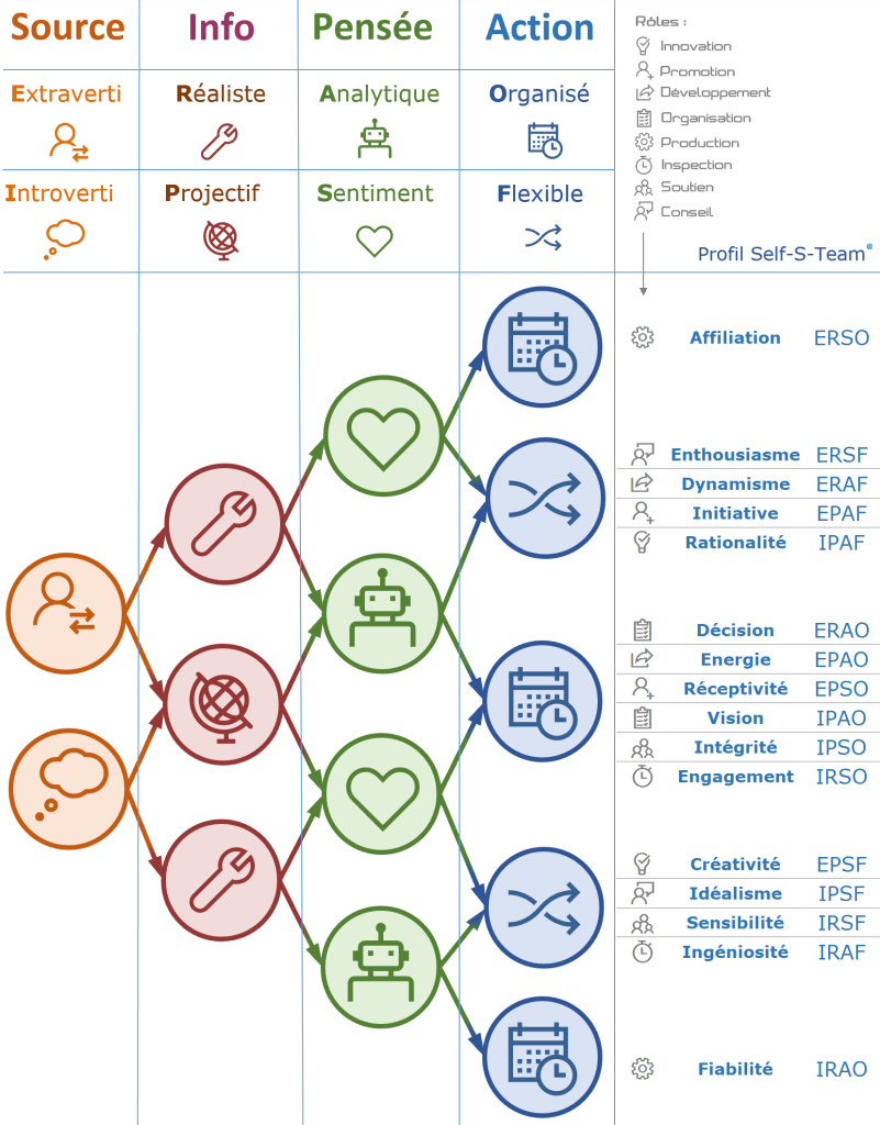 les 16 combinaisons de profils self s team