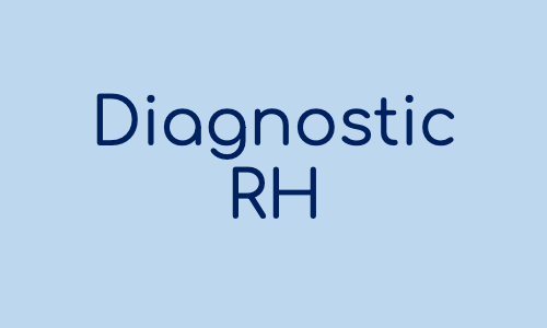 icone diagnostic rh