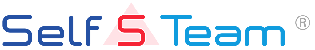 logo self s team